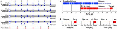 Neural Entrainment to Polyrhythms: A Comparison of Musicians and Non-musicians